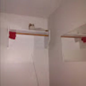 Meet your Posher, Lester